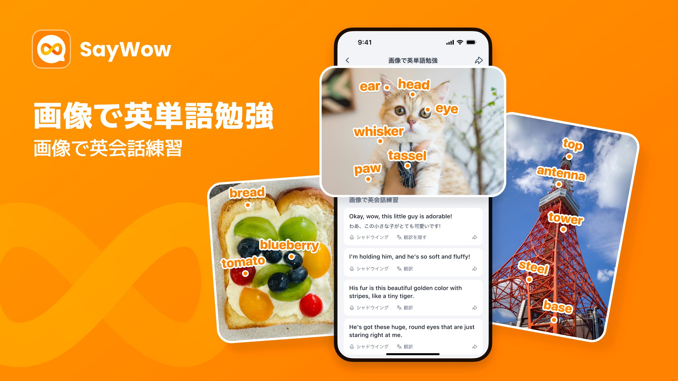 What? Dictionary Is Evolving! Your Dictionary evolved into WordDex!