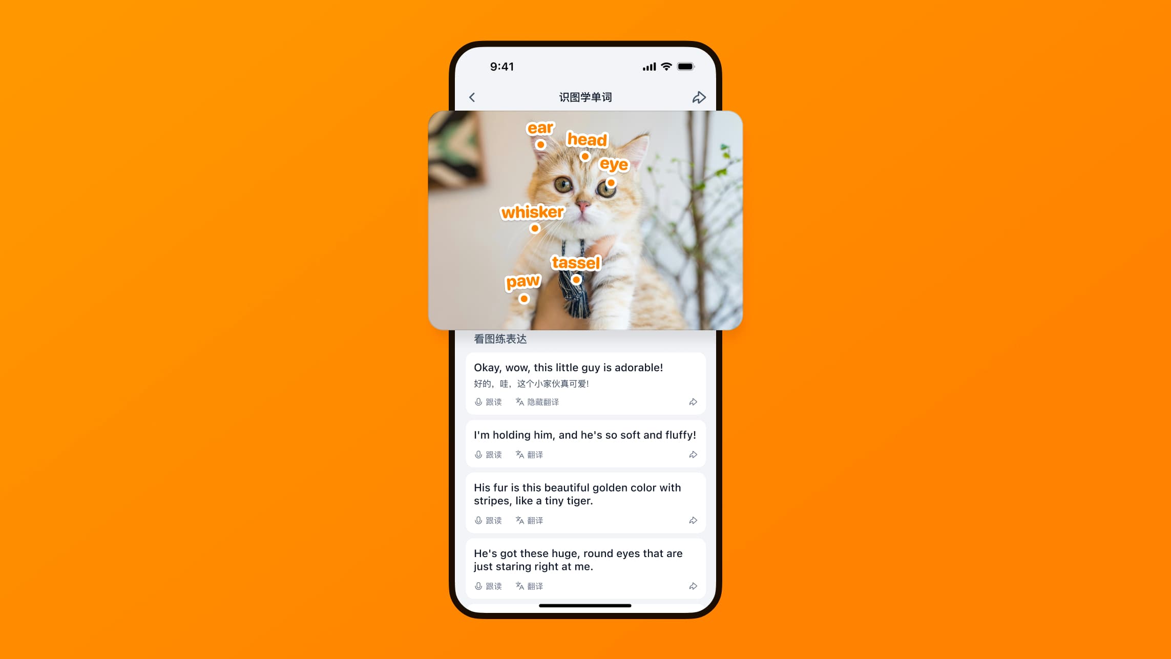 ……哦?!词典的样子……!【词典】进化为【单词图鉴】了!