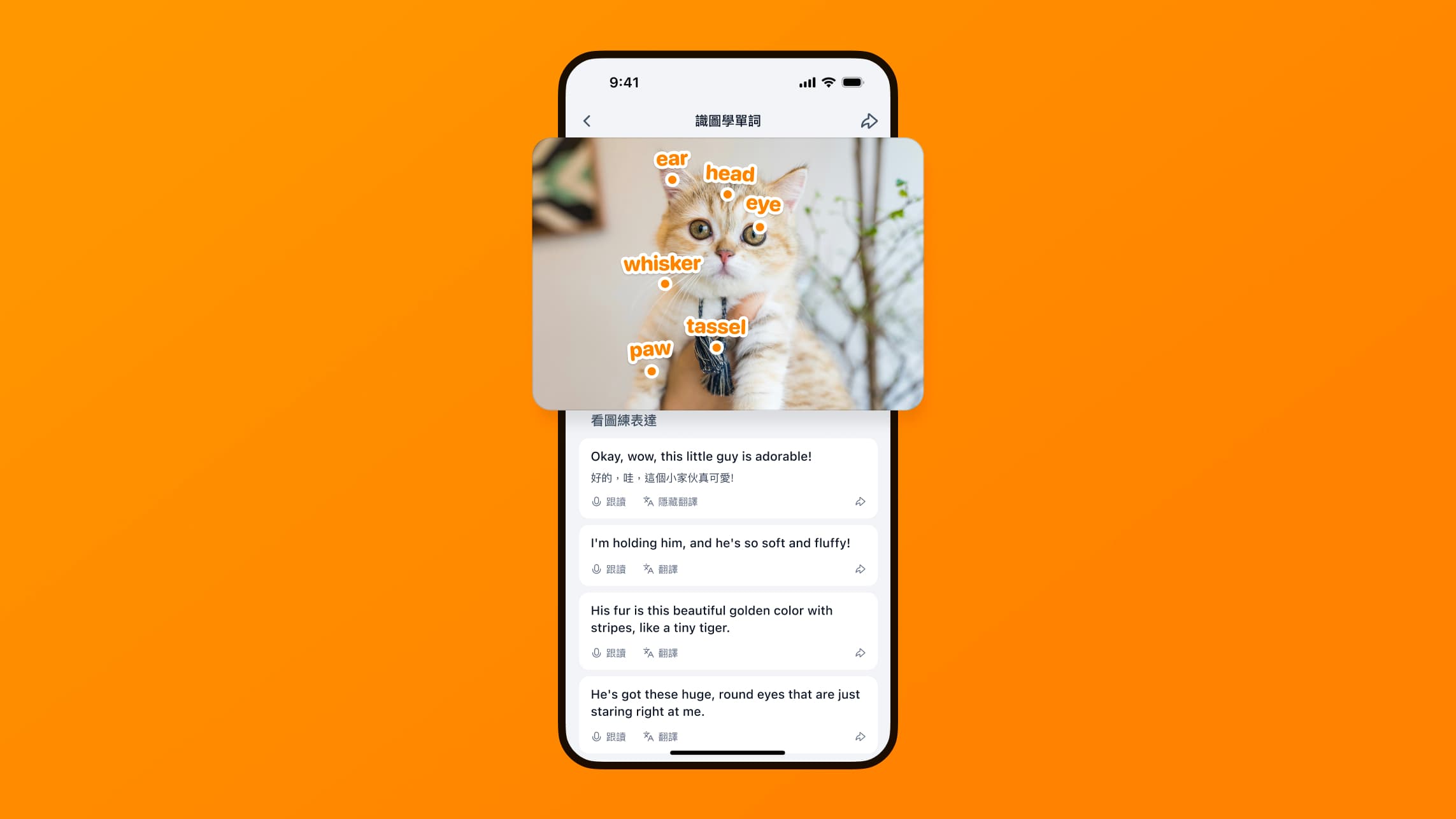 ……哦?!詞典的樣子……!【詞典】進化為【單字圖鑑】了!